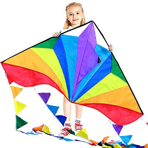 Large Delta Kite for Kids